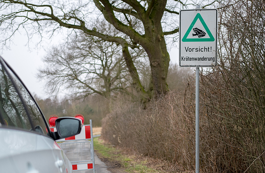Zum Schutz von Amphibien werden einige Straßen in Wallenhorst gesperrt. Für den Kraftfahrzeugverkehr sind kurze Umleitungsstrecken eingerichtet.
