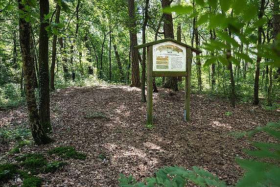Hügelgrab in den Königstannen