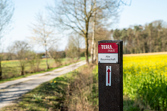 Wegweiser eines TERRA.tracks am Wanderweg.