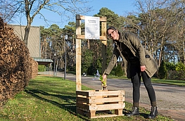 Wallenhorsts Umweltbeauftragte Isabella Markfort mit dem Blumenzwiebel-Tauschkasten auf dem Friedhof in Hollage.