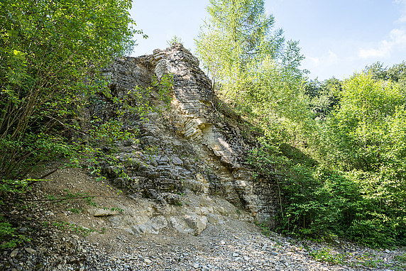 Steinbruch in Hollage