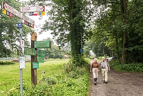 Dank vieler Wanderwege lässt sich Wallenhorst perfekt zu Fuß entdecken.