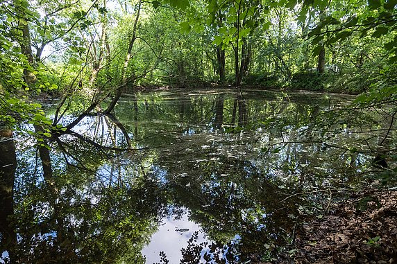 Icker Loch