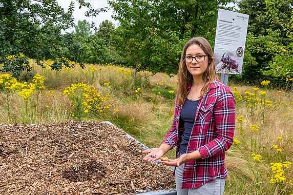 Isabella Markfort bringt zwei Larven zur „Nashornkäfer-Kinderstube“.