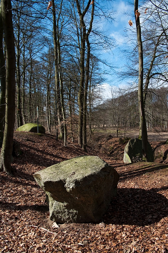 Hollager Steine
