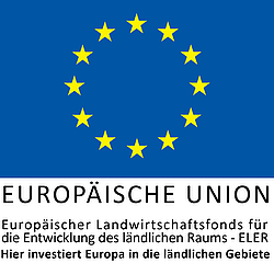 Förderlogo EU